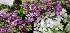 Цветы в корзине &laquo;Весенний день&raquo;