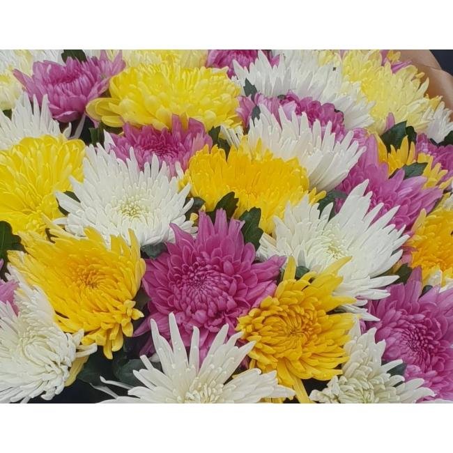 БУКЕТ ИЗ ОДИНОЧНОЙ ХРИЗАНТЕМЫ НА КАЖДЫЙ ДЕНЬ