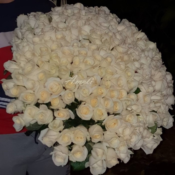 Букет из 151 белой розы «Вдохновение» — доставка цветов Пушкино