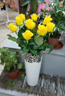 Роза Penny Lane, 70 см (поштучно)